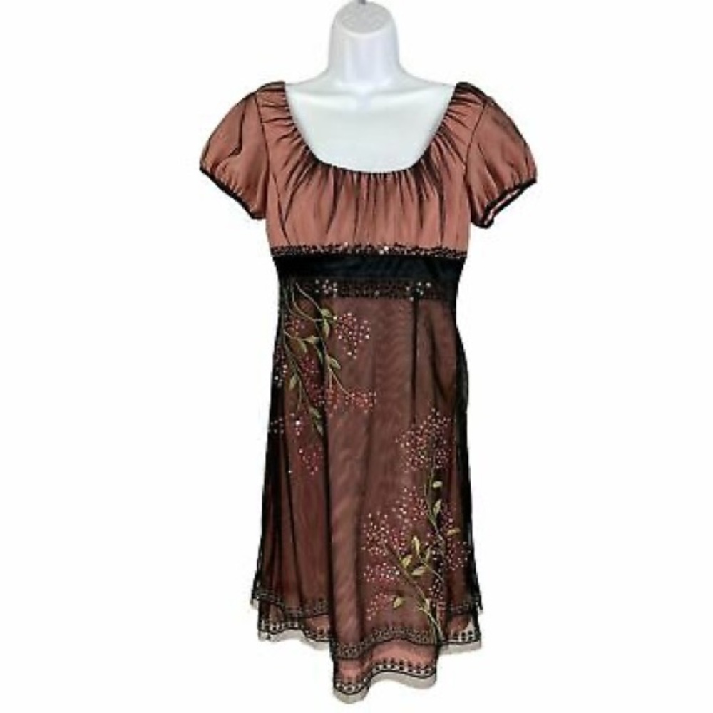 NWT 24W Adrianna Papell Short Sleeve Mesh Dress